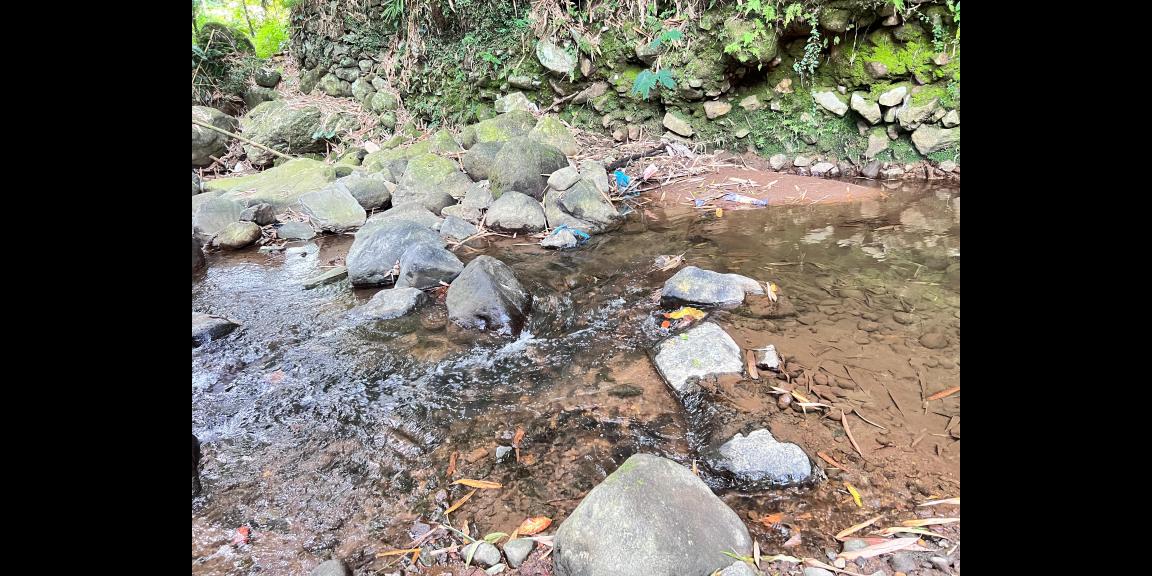 Tanah 2 Hektar Dekat Aliran Sungai Karanganyar Tanah 2 Hektar Dekat Aliran Sungai Karanganyar