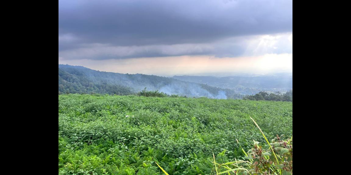 Tanah Datar Kawasan Wisata 650m Kemuning Karanganyar Tanah Datar Kawasan Wisata 650m Kemuning Karanganyar