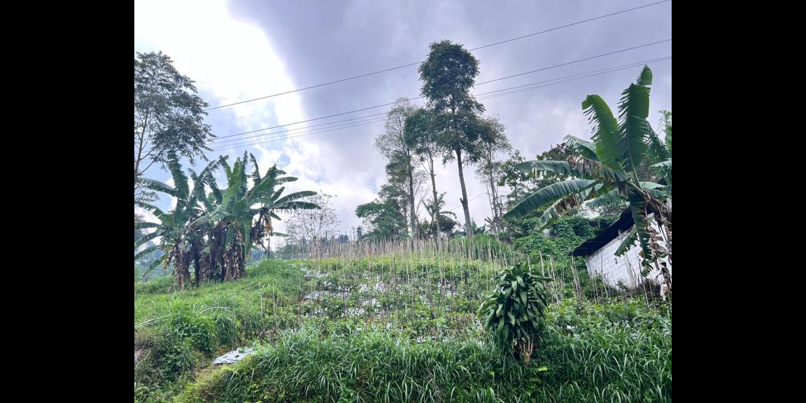 Tanah 690m² Strategis Timur Pasar Kemuning Tanah 690m² Strategis Timur Pasar Kemuning