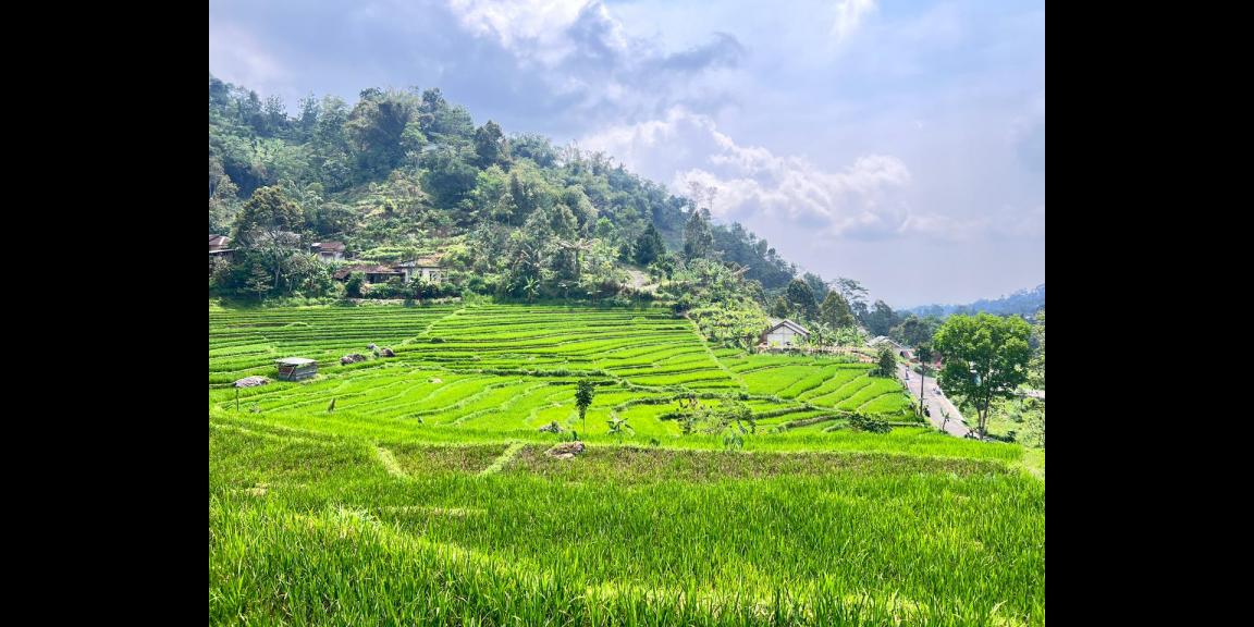 Tanah Murah 3000m 200rb/m Ngargoyoso, Solo Tanah Murah 3000m 200rb/m Ngargoyoso, Solo