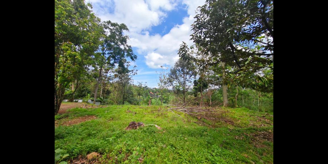 Tanah 750m² Cocok Untuk Villa Ngargoyoso Karanganyar Tanah 750m² Cocok Untuk Villa Ngargoyoso Karanganyar