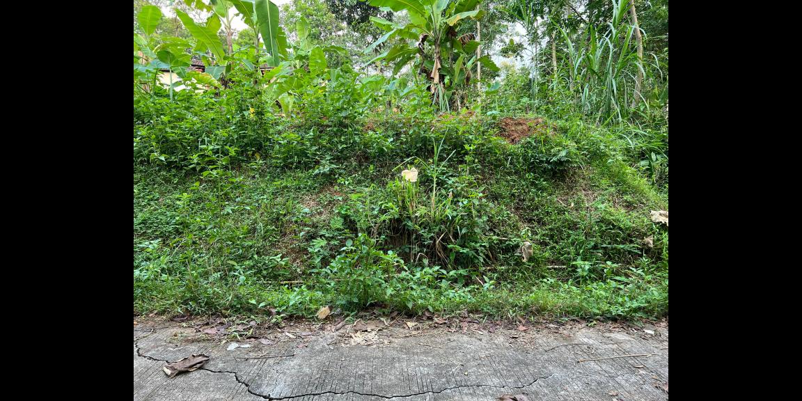 Tanah 1355m² 300 Juta Utara Pasar Matesih Karanganyar Tanah 1355m² 300 Juta Utara Pasar Matesih Karanganyar