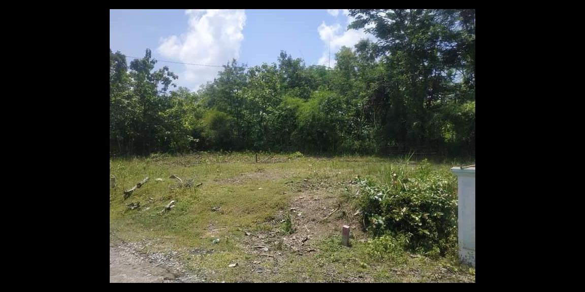 Tanah 85 Juta Dekat Pasar Gemolong Sragen Tanah 85 Juta Dekat Pasar Gemolong Sragen