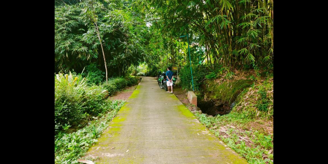 Tanah Kebun Buah Mojogedang Karanganyar Tanah Kebun Buah Mojogedang Karanganyar