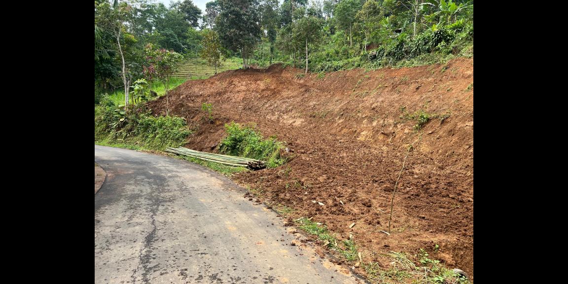 Kebun Alpukat 1200m Jalan DPU Ngargoyoso  Kebun Alpukat 1200m Jalan DPU Ngargoyoso