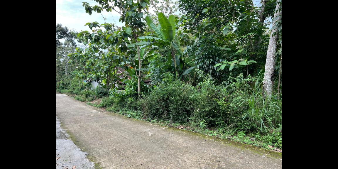 Tanah Siap Bangun 1986m² Kerjo Karanganyar   Tanah Siap Bangun 1986m² Kerjo Karanganyar