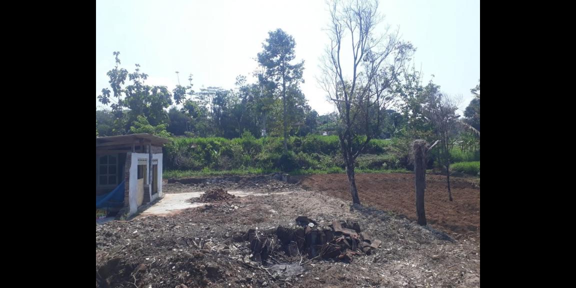 Kebun Durian 1500m² Tepi Jl Ngargoyoso Karanganyar  Kebun Durian 1500m² Tepi Jl Ngargoyoso Karanganyar