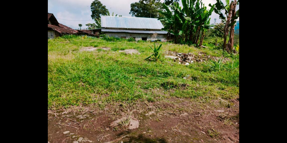 Tanah Datar dikelilingi Kebun Teh Kemuning Karanganyar Tanah Datar dikelilingi Kebun Teh Kemuning Karanganyar