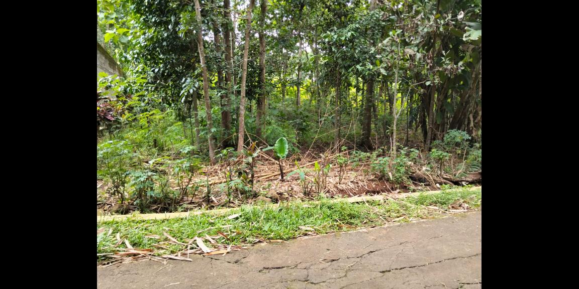 Tanah Datar 1000m² Siap Bangun Karanganyar Tanah Datar 1000m² Siap Bangun Karanganyar