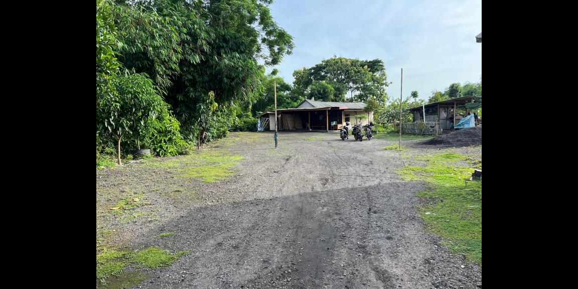 Tanah 6670m² Kebun Jambu Siap Panen Sragen Tanah 6670m² Kebun Jambu Siap Panen Sragen