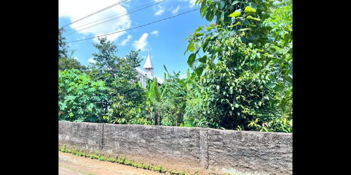 Tanah 405m Utara Mojogedang Karanganyar Strategis Tanah 405m Utara Mojogedang Karanganyar Strategis