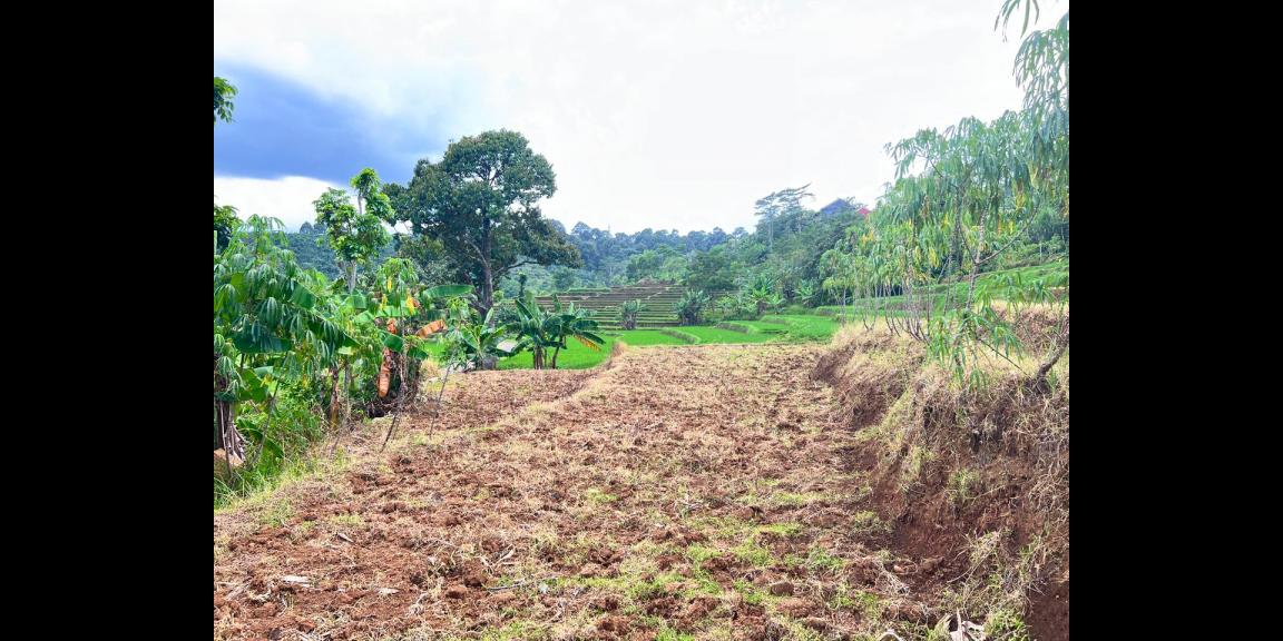 Tanah 4121m² View Hamparan Sawah Karanganyar Tanah 4121m² View Hamparan Sawah Karanganyar