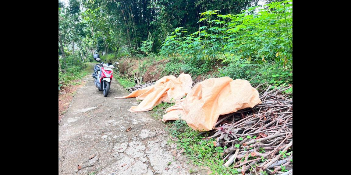 Tanah Datar 888m² 280Jt Mojogedang Karanganyar Tanah Datar 888m² 280Jt Mojogedang Karanganyar