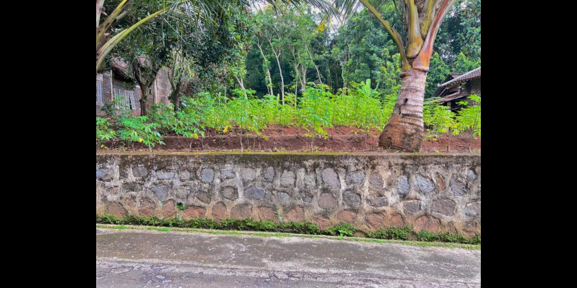 Tanah Datar 600m² Cocok Dibangun Rumah Tinggal Tanah Datar 600m² Cocok Dibangun Rumah Tinggal