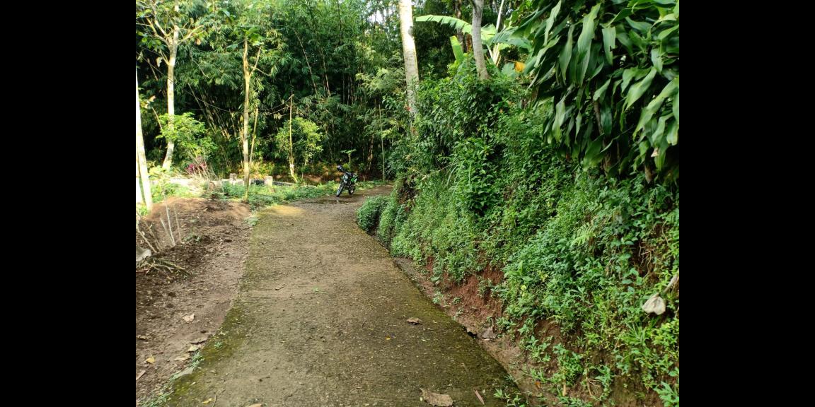 Tanah Pekarangan di Karangpandan Karanganyar Tanah Pekarangan di Karangpandan Karanganyar