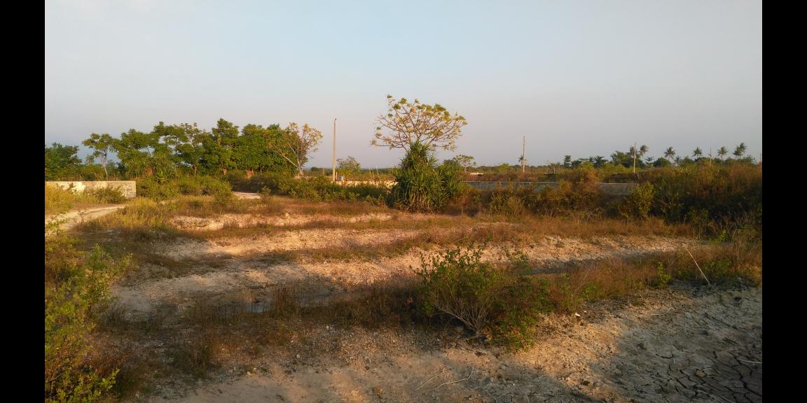 Jual tanah dan Tambak di Pantai blebak jepara Jual tanah dan Tambak di Pantai blebak jepara