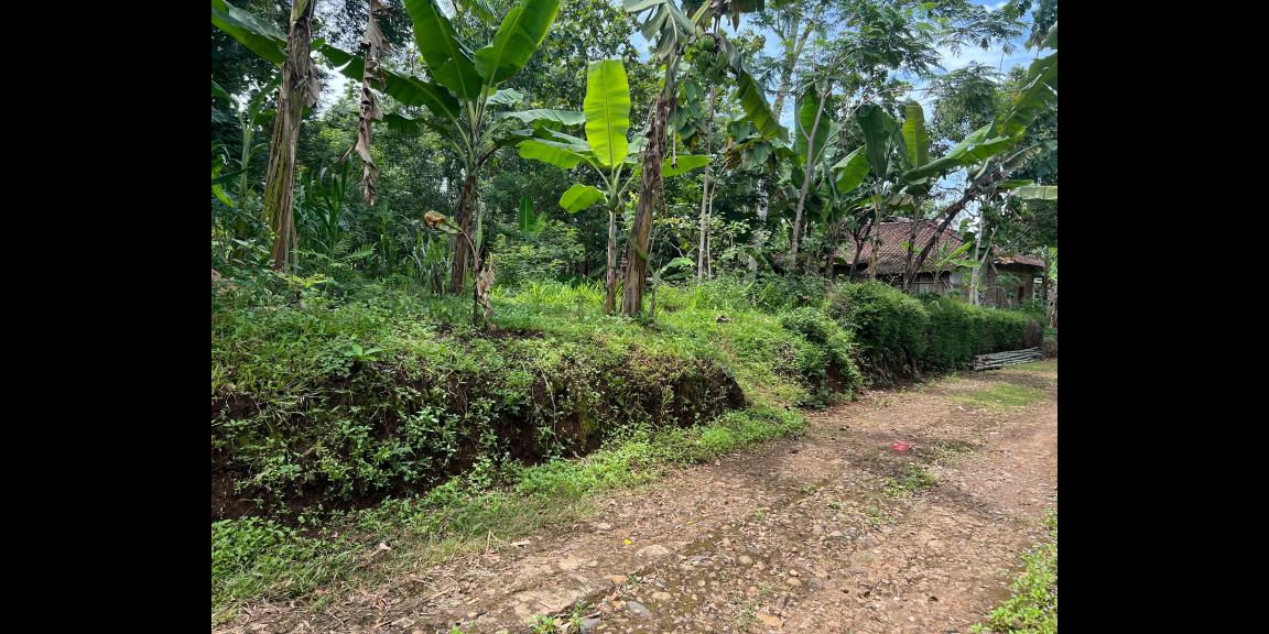 Tanah Datar 3600m² Udara Sejuk Karanganyar Tanah Datar 3600m² Udara Sejuk Karanganyar