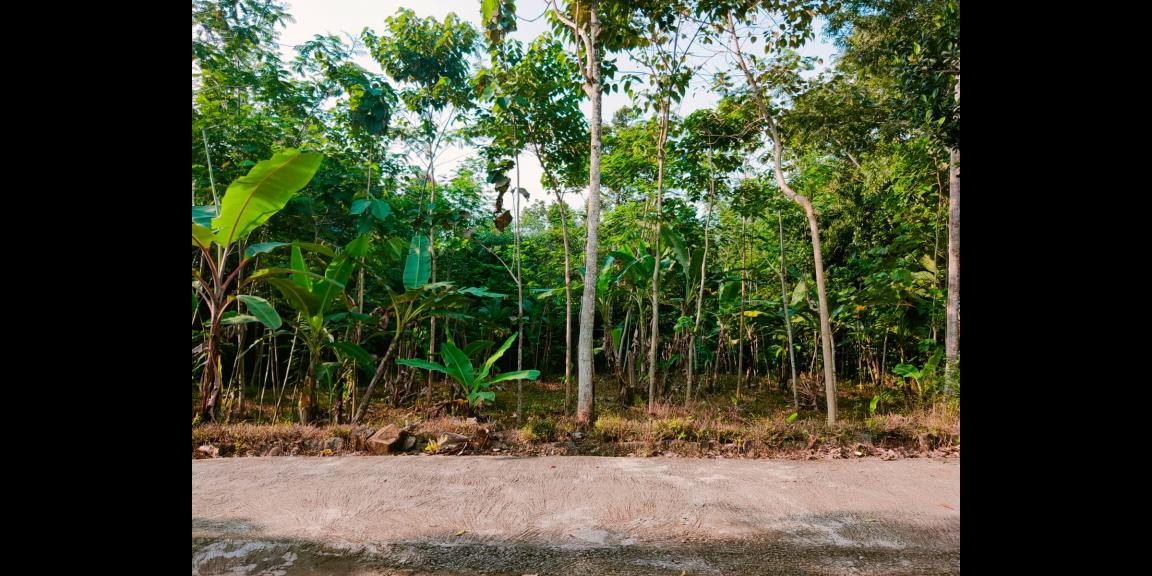 Jual Tanah di Mojogedang Karanganyar Jual Tanah di Mojogedang Karanganyar