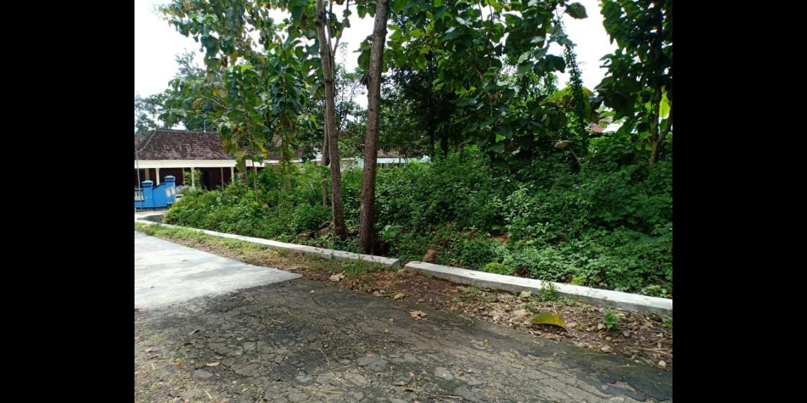 Tanah Strategis Dekat Pemukiman Masyarakat Mojogedang Karanganyar Telp/WA: 082327612345 Tanah Strategis Dekat Pemukiman Masyarakat Mojogedang Karanganyar Telp/WA: 082327612345