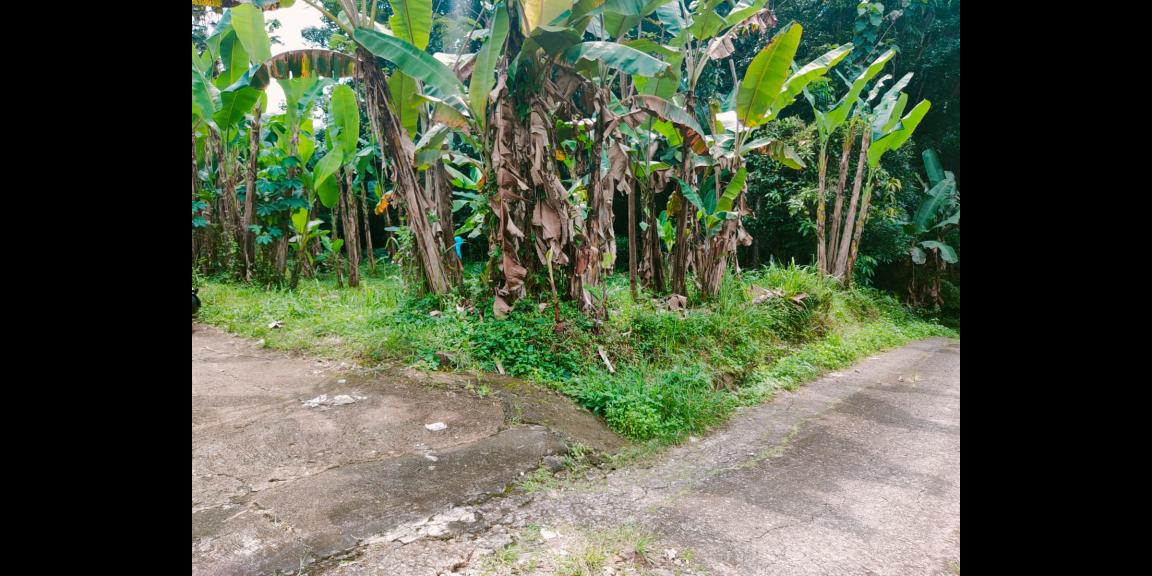 Dijual Tanah Strategis Dibangun Villa Kerjo Karanganyar Dijual Tanah Strategis Dibangun Villa Kerjo Karanganyar