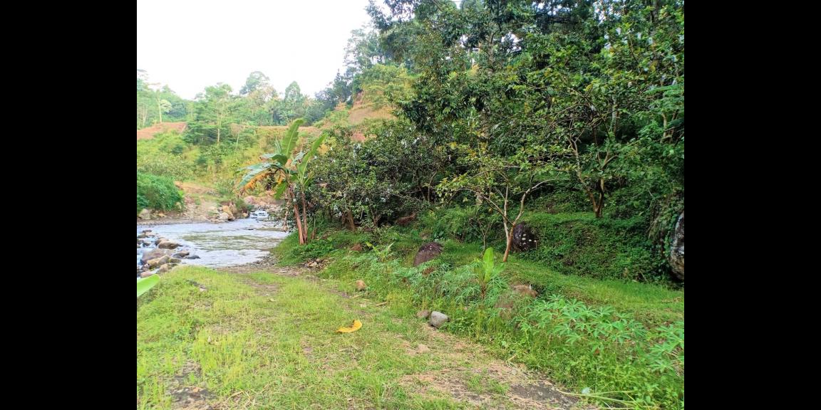 Tanah Cocok untuk Wisata / dibangun Hotel Ngargoyoso Karanganyar Tanah Cocok untuk Wisata / dibangun Hotel Ngargoyoso Karanganyar