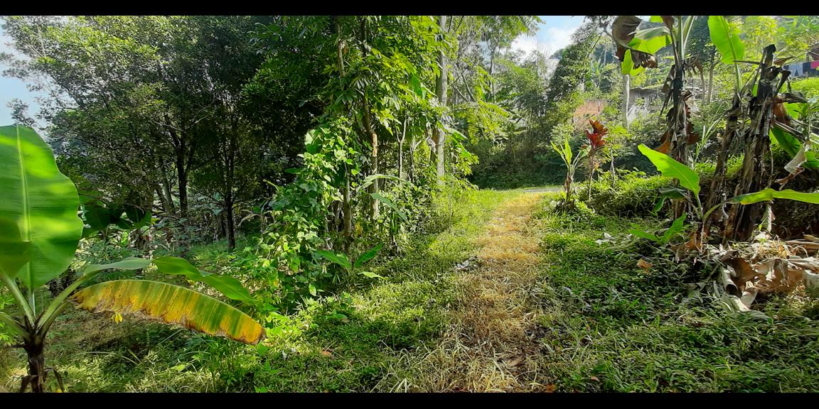 TANAH KOMERSIAL MAIN ROAD ARCAMANIK SINDANGLAYA BANDUNG TANAH KOMERSIAL MAIN ROAD ARCAMANIK SINDANGLAYA BANDUNG