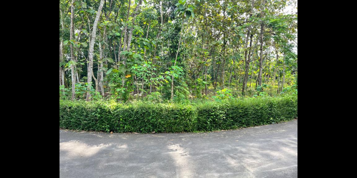 Dijual Tanah Pekarangan Mojogedang Karanganyar Dijual Tanah Pekarangan Mojogedang Karanganyar