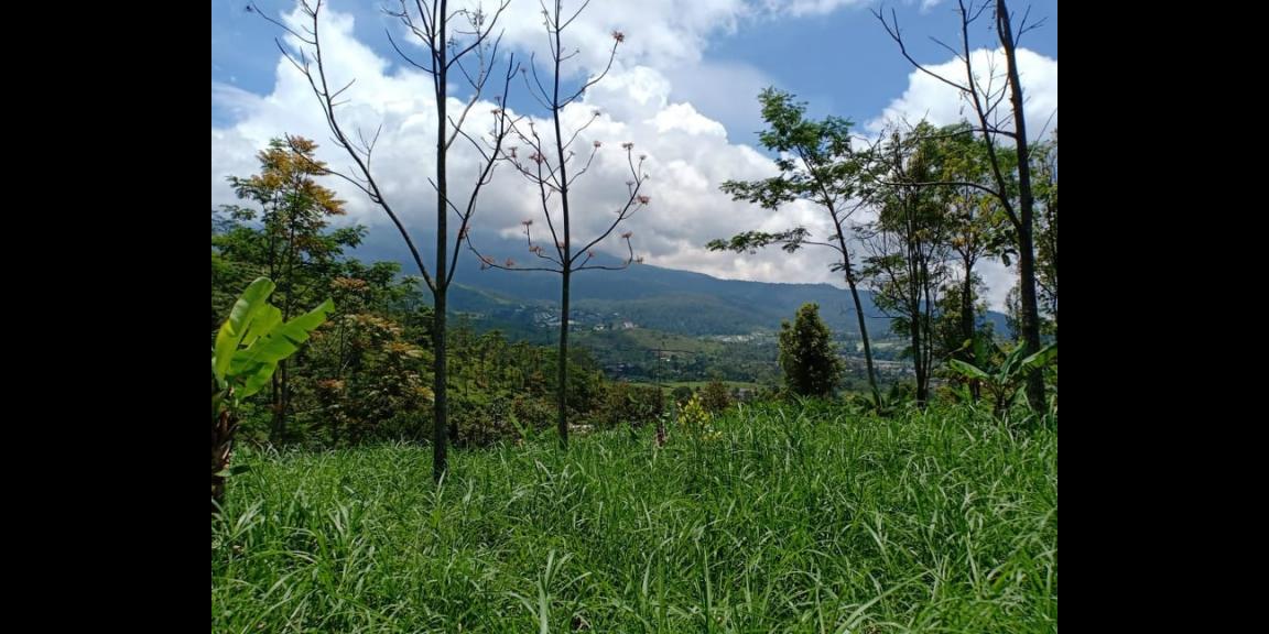 Tanah Strategis View Pemandangan Alam Kemuning Ngargoyoso Karanganyar Tanah Strategis View Pemandangan Alam Kemuning Ngargoyoso Karanganyar