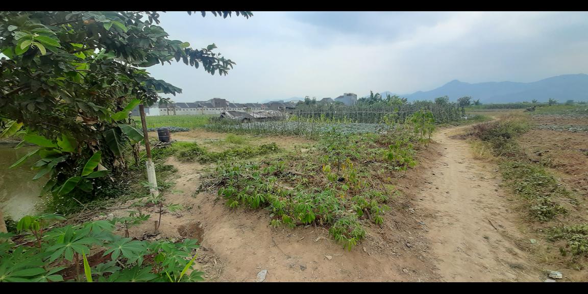 TANAH UNTUK PERUMAHAN DEKAT PODOMORO PARK BUAH BATU BANDUNG TANAH UNTUK PERUMAHAN DEKAT PODOMORO PARK BUAH BATU BANDUNG