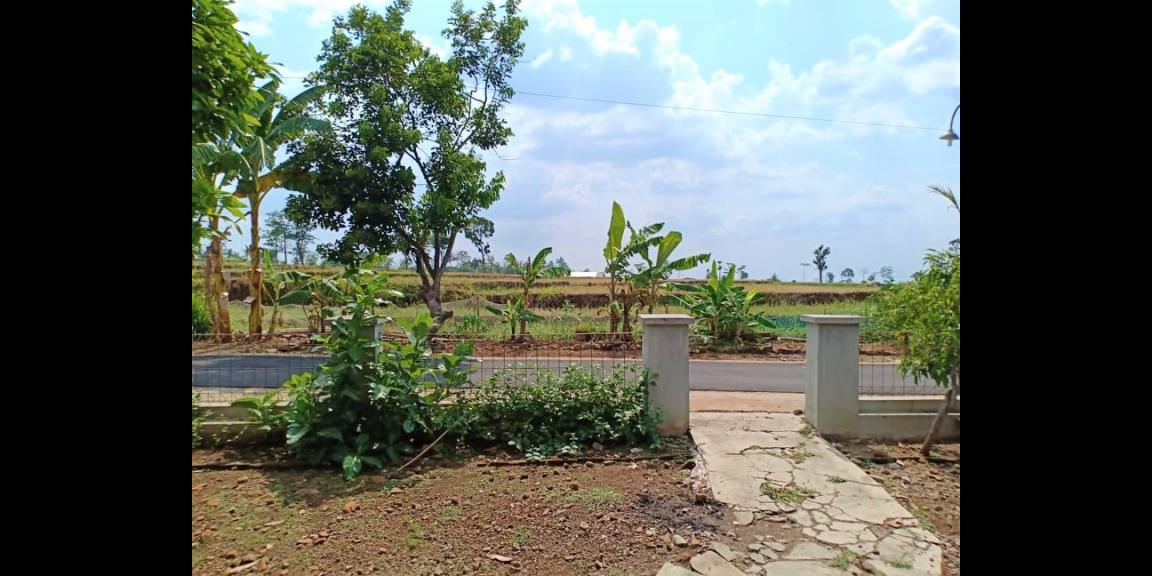 Dijual Rumah Strategis Dekat Pasar Batujamus Sragen Dijual Rumah Strategis Dekat Pasar Batujamus Sragen