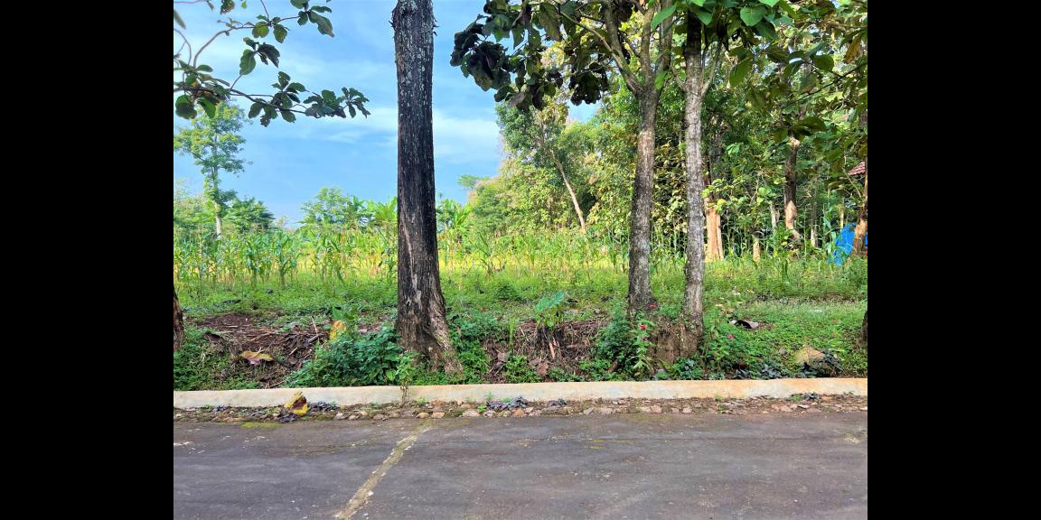 TANAH SUPER DATAR COCOK DIBANGUN RUMAH TINGGAL KERJO KARANGANYAR TANAH SUPER DATAR COCOK DIBANGUN RUMAH TINGGAL KERJO KARANGANYAR