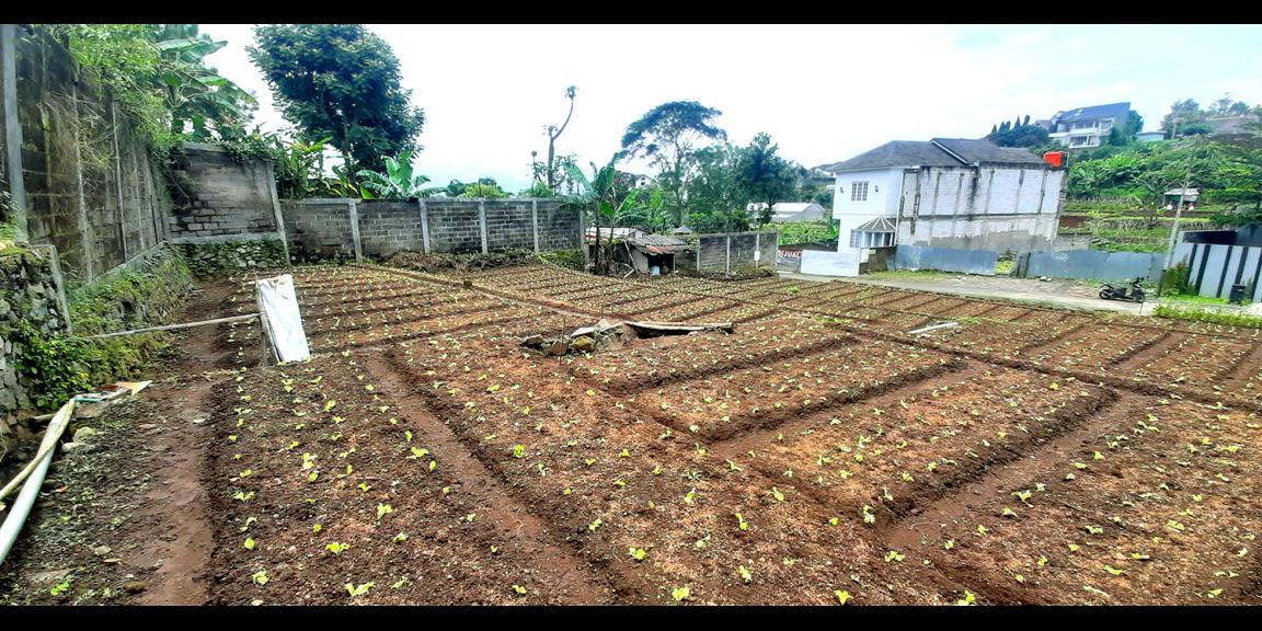 TANAH UNTUK RUMAH TINGGAL ATAU VILLA DI SAYAP SERSAN BAJURI KOTA BANDUNG TANAH UNTUK RUMAH TINGGAL ATAU VILLA DI SAYAP SERSAN BAJURI KOTA BANDUNG