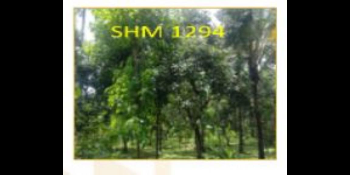 Jual Tanah Kosong di Gerokgak Buleleng Bali Harga Murah dibawah 1.5M Jual Tanah Kosong di Gerokgak Buleleng Bali Harga Murah dibawah 1.5M