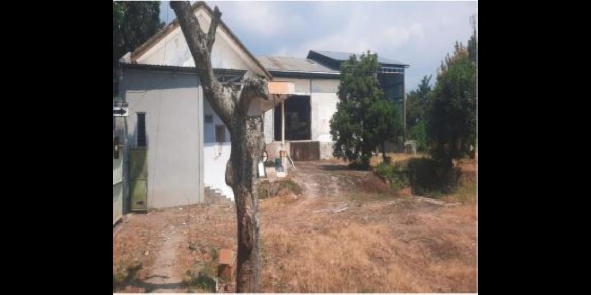 Jual Gudang Lokasi Strategis di Pacet Kab Mojokerto Harga Turun Banyak dibawah 10M Jual Gudang Lokasi Strategis di Pacet Kab Mojokerto Harga Turun Banyak dibawah 10M