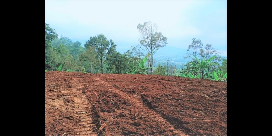 PROMO TERBATAS TANAH KEMUNING NGARGOYOSO KARANGANYAR PROMO TERBATAS TANAH KEMUNING NGARGOYOSO KARANGANYAR