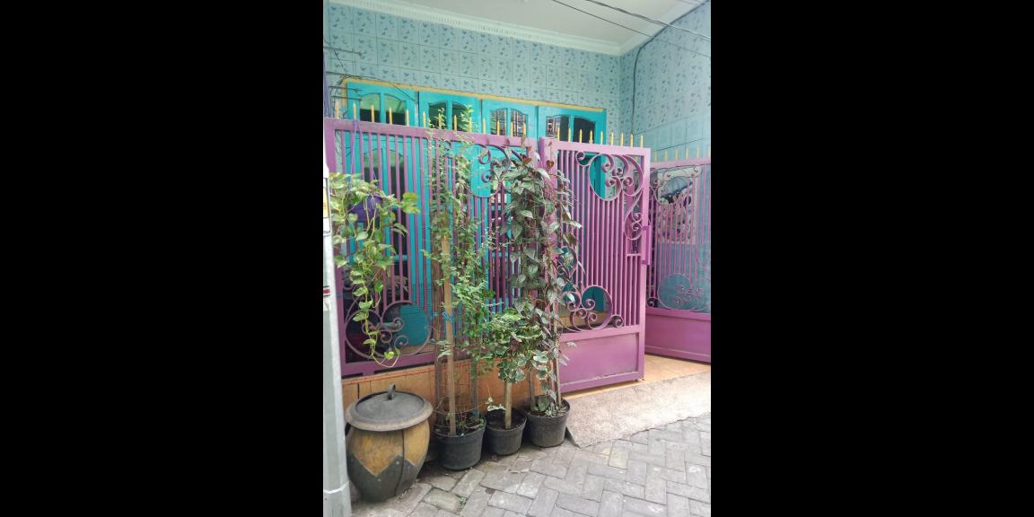 Rumah Murah Granting Simokerto Surabaya Utara Siap Huni Rumah Murah Granting Simokerto Surabaya Utara Siap Huni