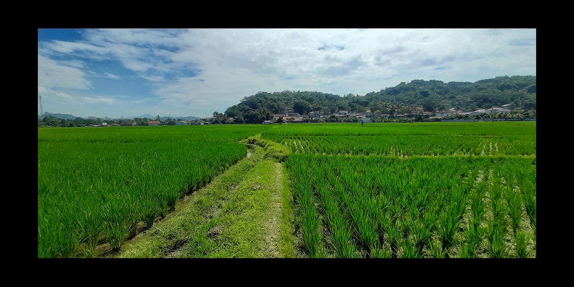 TANAH UNTUK PERUMAHAN ATAU PERMUKIMAN DI CILILIN BANDUNG BARAT TANAH UNTUK PERUMAHAN ATAU PERMUKIMAN DI CILILIN BANDUNG BARAT