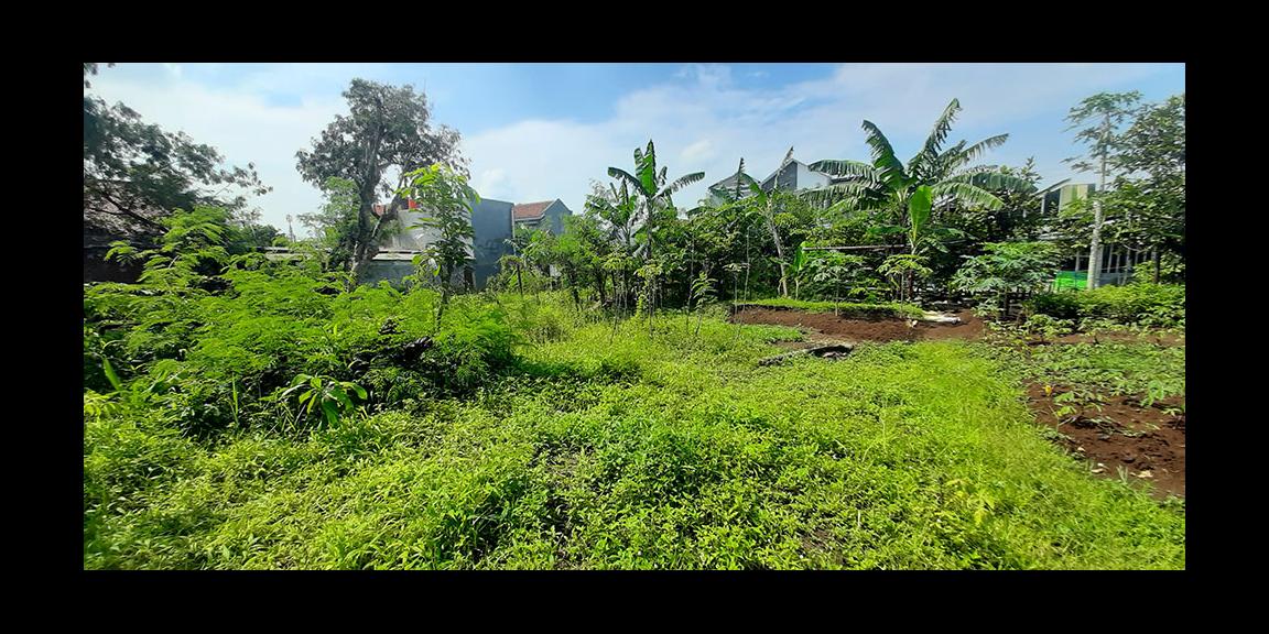 TANAH HUNIAN LINGKUNGAN TENANG NYAMAN DAN AMAN DI ARCAMANIK BANDUNG TANAH HUNIAN LINGKUNGAN TENANG NYAMAN DAN AMAN DI ARCAMANIK BANDUNG
