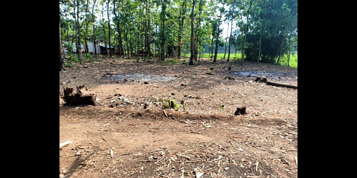 DIJUAL TANAH COCOK UNTUK INVESTASI SRAGEN JATENG DIJUAL TANAH COCOK UNTUK INVESTASI SRAGEN JATENG