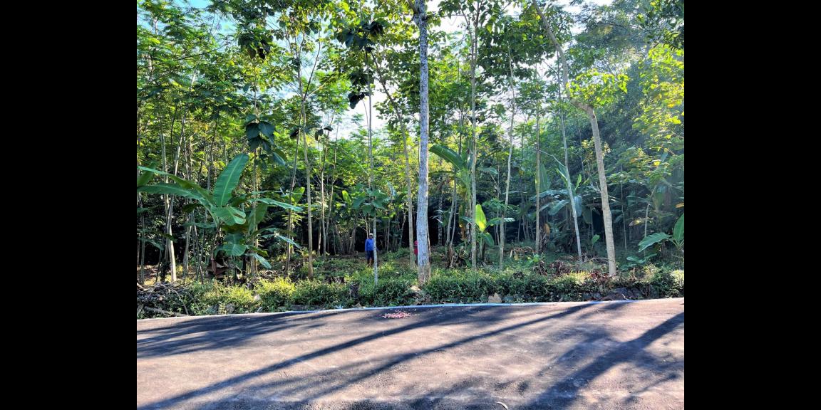 DIJUAL TANAH KEBUN BUAH MOJOGEDANG KARANGANYAR DIJUAL TANAH KEBUN BUAH MOJOGEDANG KARANGANYAR