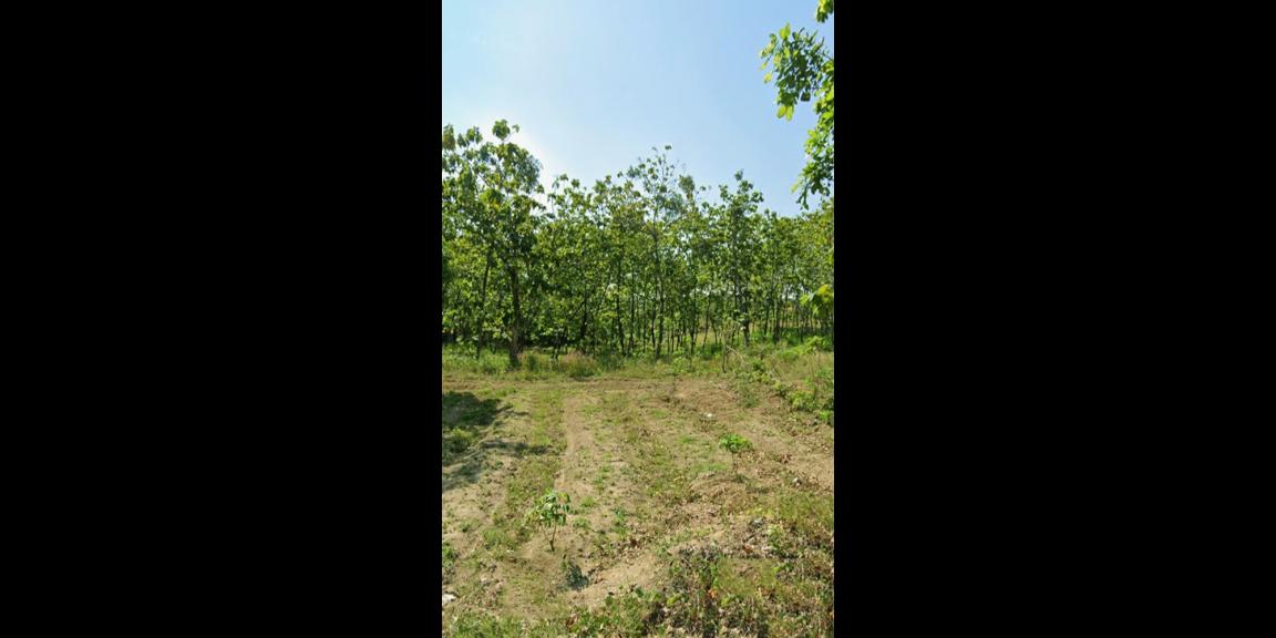 TANAH UNTUK PERUMAHAN DAN PERMUKIMAN  DEKAT BANDARA INTERNATIONAL KERTAJATI-MAJALENGKA  TANAH UNTUK PERUMAHAN DAN PERMUKIMAN  DEKAT BANDARA INTERNATIONAL KERTAJATI-MAJALENGKA