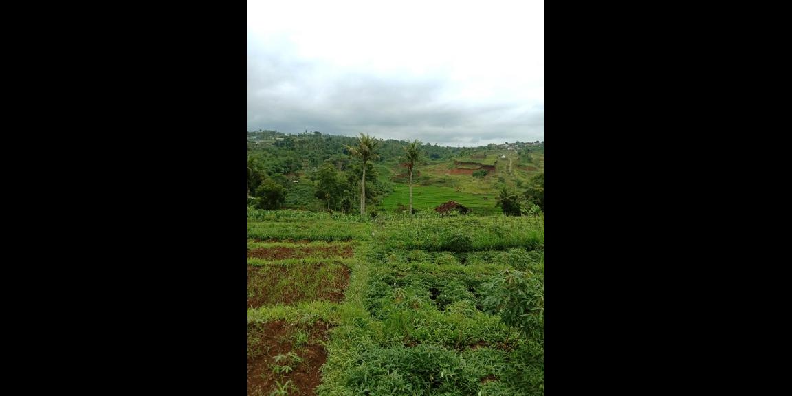 TANAH UNTUK PERUMAHAN DAN PERMUKIMAN DEKAT GT. PAMULIHAN TANJUNGSARI SUMEDANG TANAH UNTUK PERUMAHAN DAN PERMUKIMAN DEKAT GT. PAMULIHAN TANJUNGSARI SUMEDANG