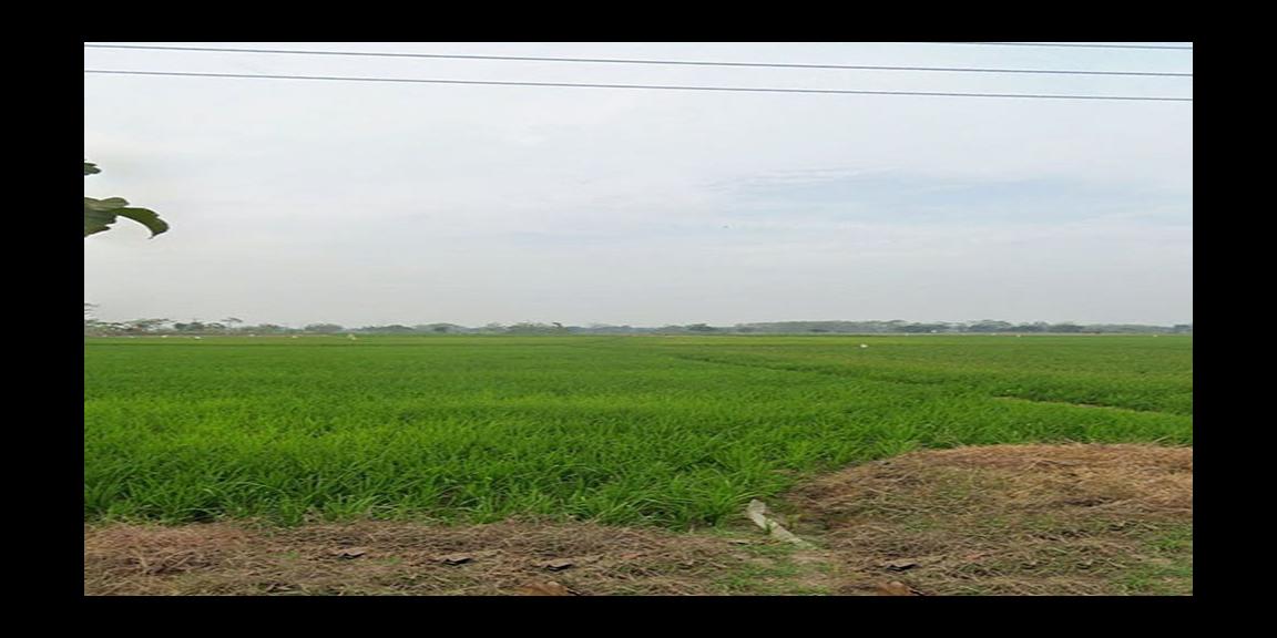 TANAH UNTUK INVESTASI DI KAWASAN BERKEMBANG DEKAT GT. SUMBERJAYA, CIPALI-MAJALENGKA TANAH UNTUK INVESTASI DI KAWASAN BERKEMBANG DEKAT GT. SUMBERJAYA, CIPALI-MAJALENGKA