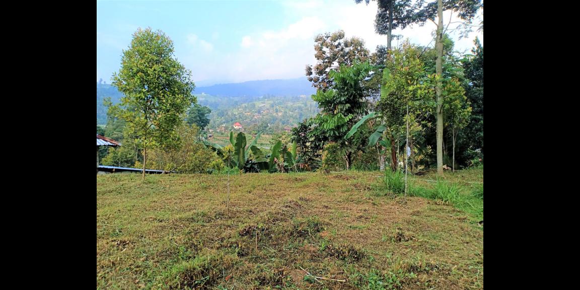 DIJUAL TANAH VIEW ISTIMEWA KEMUNING NGARGOYOSO KRA DIJUAL TANAH VIEW ISTIMEWA KEMUNING NGARGOYOSO KRA