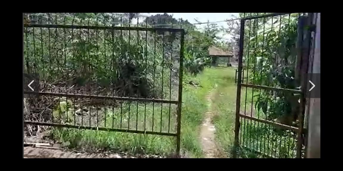 TANAH DI PINGGIR JALAN DEKAT POLITEKNIK SIBER DAN SANDI NEGARA DI CISEENG BOGOR TANAH DI PINGGIR JALAN DEKAT POLITEKNIK SIBER DAN SANDI NEGARA DI CISEENG BOGOR