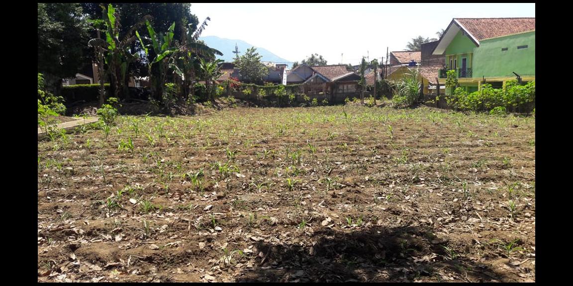 TANAH STRATEGIS DEKAT SEKOLAH, ALUN-ALUN, MALL DAN PERTOKOAN DI SAYAP JL. RAYA SAMARANG GARUT TANAH STRATEGIS DEKAT SEKOLAH, ALUN-ALUN, MALL DAN PERTOKOAN DI SAYAP JL. RAYA SAMARANG GARUT