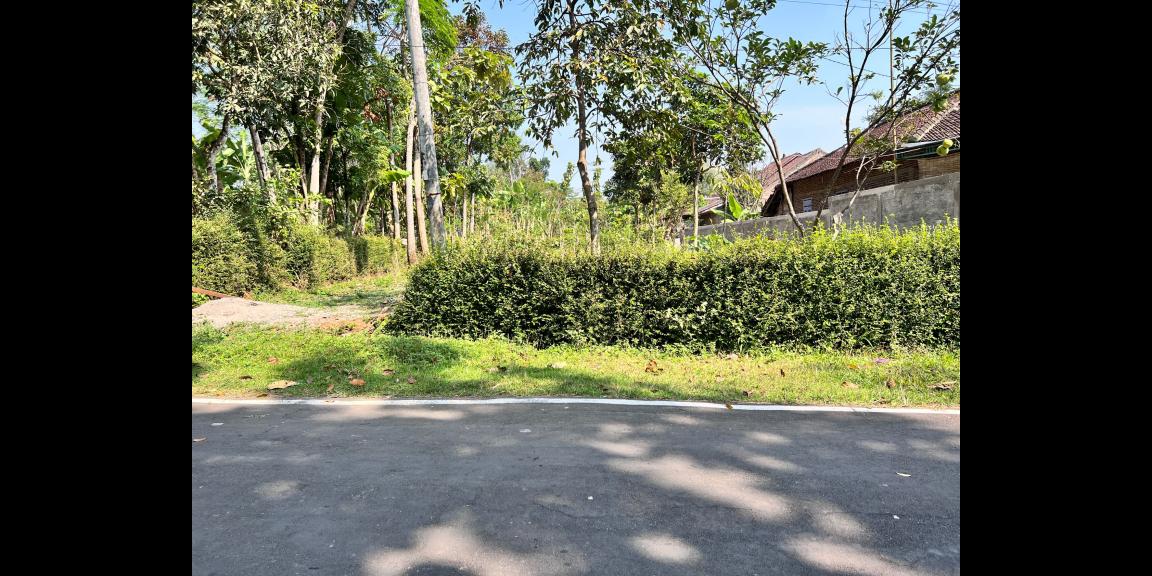 DIJUAL TANAH PEKARANGAN UTARA PASAR MOJOGEDANG KARANGANYAR DIJUAL TANAH PEKARANGAN UTARA PASAR MOJOGEDANG KARANGANYAR