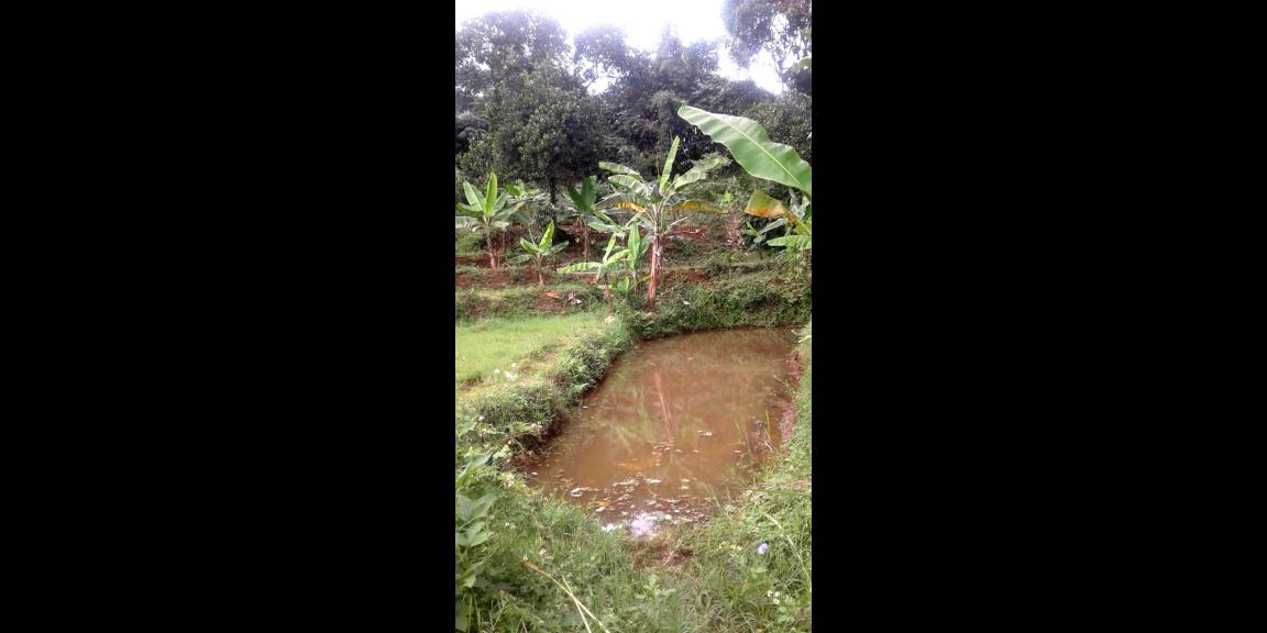 TANAH VIEW KOTA BANDUNG UNTUK RUMAH VILLA DAN KEBUN PRODUKTIF DI UJUNG BERUNG TANAH VIEW KOTA BANDUNG UNTUK RUMAH VILLA DAN KEBUN PRODUKTIF DI UJUNG BERUNG