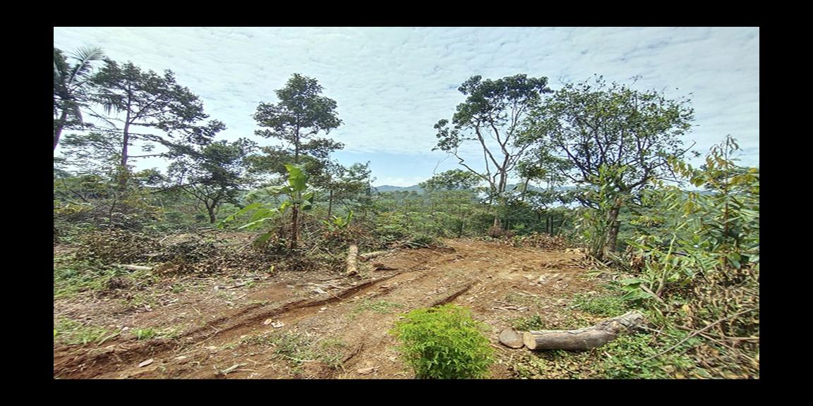 TANAH UNTUK WISATA RESORT PERKEBUNAN PETERNAKAN DEKAT JALAN CAGAK SUBANG TANAH UNTUK WISATA RESORT PERKEBUNAN PETERNAKAN DEKAT JALAN CAGAK SUBANG