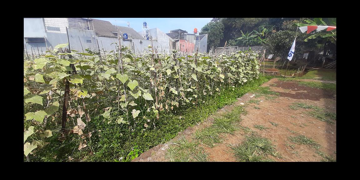 KAVLING 135 M2 MUKA 9 METER SHM AKSES MOBIL DI CISARANTEN KULON BANDUNG KAVLING 135 M2 MUKA 9 METER SHM AKSES MOBIL DI CISARANTEN KULON BANDUNG